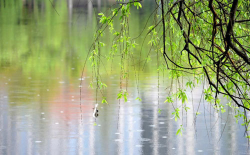 雨中的守護者 —— 珍珠棉的應用實踐